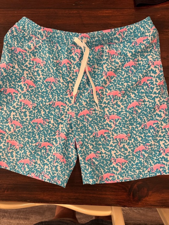 chubbies Other - Chubbies Boys Flamingo Swim Trunks – Youth Large